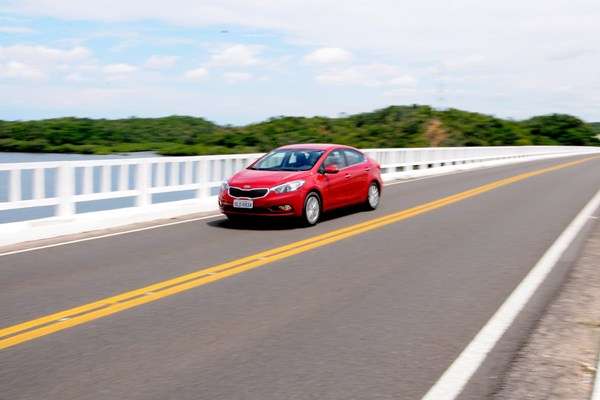  Cerato cresce e aparece