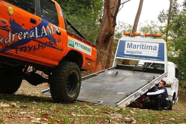  Seguros para todos os perfis